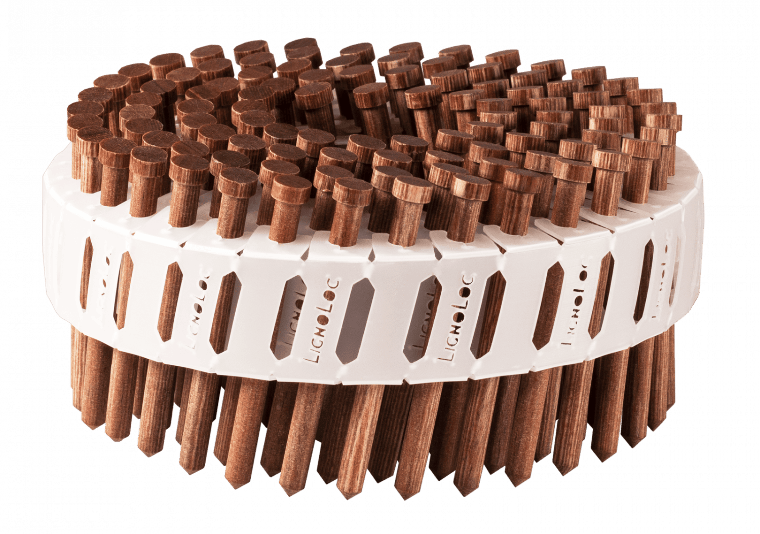 LignoLoc® Holznägel 4,7x58mm glatt mit Kopf 1.000 Stück